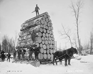 Detroit Gallery: Logging a big load, Michigan, c.1880-99 (b / w photo)