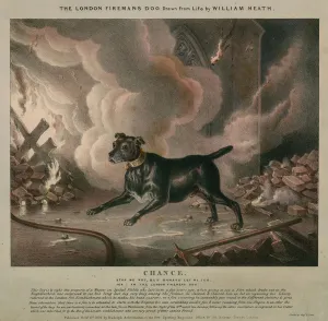 The London fireman's dog (coloured engraving) The London fireman's dog (coloured engraving)