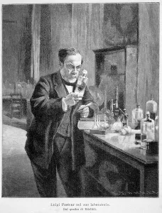 Louis Pasteur in his laboratory according to the painting of edelfelt, 19th century Louis Pasteur in his laboratory according to the painting of edelfelt, 19th century