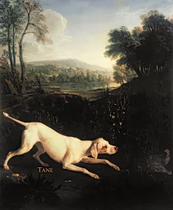 Louis XIV's Dog, Tane (oil on canvas) Louis XIV's Dog, Tane (oil on canvas)