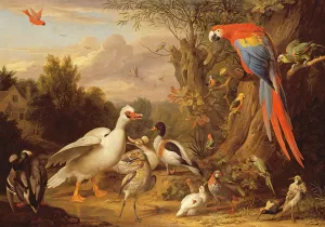 A Macaw, Ducks, Parrots and Other Birds in a Landscape, c.1708-10 (oil on canvas) A Macaw, Ducks, Parrots and Other Birds in a Landscape, c.1708-10 (oil on canvas)