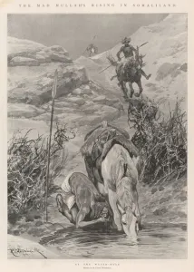 The Mad Mullah's Rising in Somaliland (litho) The Mad Mullah's Rising in Somaliland (litho)