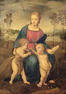 Madonna of the Goldfinch, c.1506 (oil on panel) (pre restoration)
