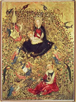 Madonna & Child Gallery: Madonna with a Rose Bush (oil on canvas)
