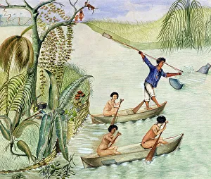 Means Of Conveyance Gallery: Manati Hunting, Lake Nicaragua, 1867 (w/c on paper)