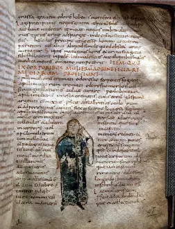 Manuscript page extracted from ' De simplicibus medicamentis'" Manuscript page extracted from ' De simplicibus medicamentis'"