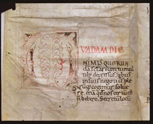 Detail from a manuscript of patristic works, with an unfinished historiated capital, by Pope St