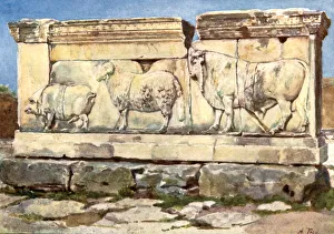 Marble relief of the Ambarvalia Sacrifice, in the Forum Marble relief of the Ambarvalia Sacrifice, in the Forum