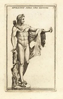 Marble statue of Apollo Belvedere. 1779 (engraving) Marble statue of Apollo Belvedere. 1779 (engraving)