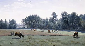 Marcoussis - Cows Grazing, 1845-50 (oil on canvas) Marcoussis - Cows Grazing, 1845-50 (oil on canvas)