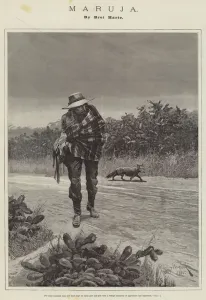 Similarity Gallery: Maruja, by Bret Harte (engraving)