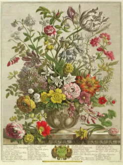 May, from Twelve Months of Flowers by Robert Furber (c