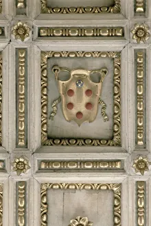 Balls Gallery: Medici coat of arms, from the soffit of the church (stucco)