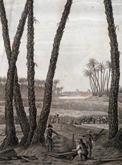 Memphis, view of the ruins (scientists and working artists) - in '" Memphis, view of the ruins (scientists and working artists) - in '"