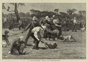 Republic Of Singapore Gallery: A Menagerie Race at Singapore (engraving)