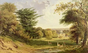 Images Dated 19th October 2009: Mereworth Park, Kent (oil on canvas)