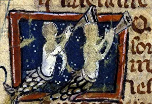 Mermaids represented in a 14th century French bestiary. Milan, Biblioteca Trivulziana Mermaids represented in a 14th century French bestiary. Milan, Biblioteca Trivulziana