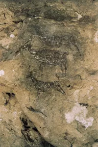 Rock Painting Gallery: Mesolithic Rock Art: Deer and Goats (8000-7000 BC), Spain, Bicorp