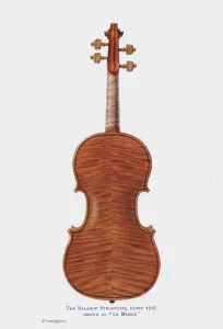 Antonio stradivari memoirs of a stradivarius hotsell