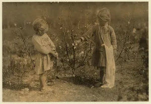 Millie, aged 4 picks 8 pounds of cotton a day and Nellie 5 Millie, aged 4 picks 8 pounds of cotton a day and Nellie 5