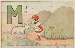 Shepherdess Collection: Mimi, Marie's sheep, eats mimosa. around 1920 (print)