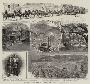 Mining and Vineyarding in the Far West (engraving) Mining and Vineyarding in the Far West (engraving)