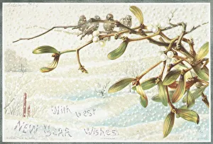 Mistletoe in the snow, New Year Card (chromolitho) Mistletoe in the snow, New Year Card (chromolitho)