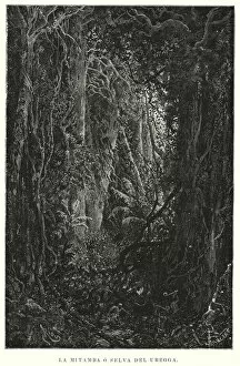 Impenetrable Gallery: Mitamba, forest in the Congo (litho)