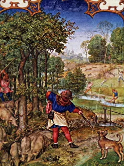 Month of November, Gathering acorns and hare hunting, miniature from Grimani Breviary Month of November, Gathering acorns and hare hunting, miniature from Grimani Breviary