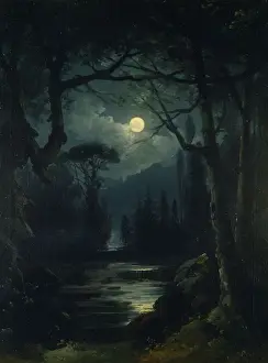 Woodland scenes (Forest Woodland Scenes)