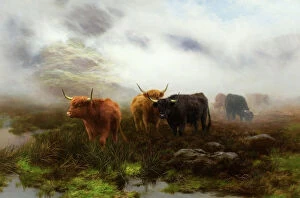 19 19th Xix Xixth Nineteenth Century Collection: Moorland and Mist, 1893 (oil on canvas)