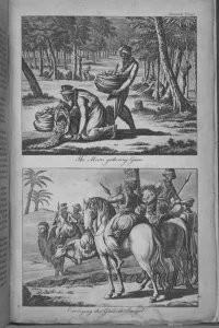 The Moors gathering Gums and Conveying the Gums to Senegal The Moors gathering Gums and Conveying the Gums to Senegal