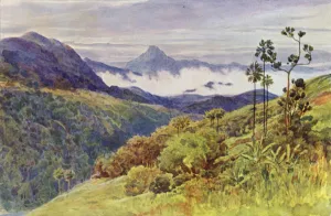 Morning Mists in the Valley of the Mahawelli Gangha (colour litho) Morning Mists in the Valley of the Mahawelli Gangha (colour litho)
