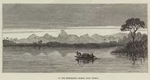 Related Images Collection: In the Morumbala Marsh, East Africa (engraving)