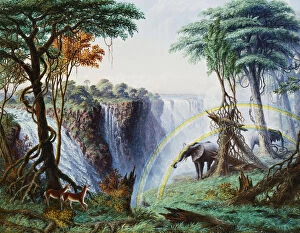 Mosi-oa-Tunya / Victoria Falls Gallery: The Mosi-O-A-Tunya (Smoke Resounding) or Victoria Falls, Zambesi River