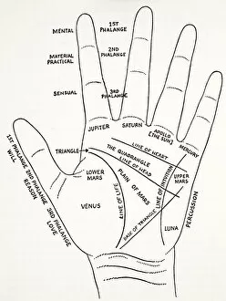 Fortune Telling Gallery: The mount aras of the hand (litho)