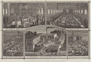 Mouson and Company's Perfumery and Toilet Soap Steam Works at Frankfort-on-the-Main, Germany (engraving)