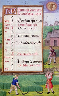 Faux Collection: Ms 1058-1975 f6r Mowing Grass, illuminated calendar page for June, from a Book of Hours