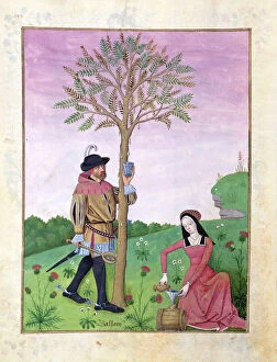 Images Dated 15th September 2006: Ms Fr. Fv VI #1 fol. 162v Drawing sap from a tree, Illustration from the