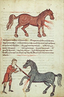 Ms Grec 2244 fol.4 Operating on a horse (vellum)