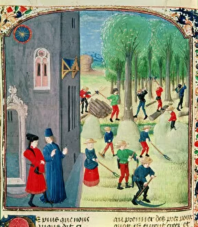 Faux Collection: Ms. Lat 1173 Haymaking and Woodcutting, from the Hours of Charles d Angouleme, c