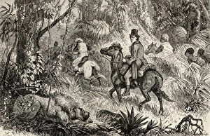 Mungo Park encountering a Lion whilst on his way to the Village of Modiboo, 1825