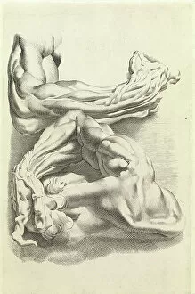Sir Peter Paul Rubens Gallery: Muscles (engraving)