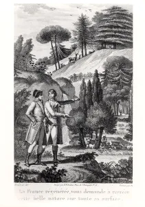 Napoleon Bonaparte (1769-1821) and the Forest of France, 1801 (engraving) (b/w photo) Napoleon Bonaparte (1769-1821) and the Forest of France, 1801 (engraving) (b/w photo)