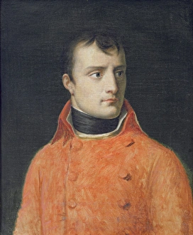 Napoleon Bonaparte, First Consul (oil on canvas) Napoleon Bonaparte, First Consul (oil on canvas)