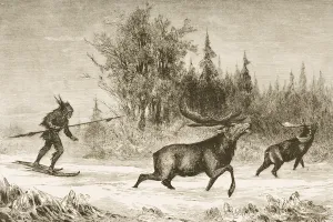 A Native American Moose hunting in the North Western Territory, c.1880 (litho) A Native American Moose hunting in the North Western Territory, c.1880 (litho)