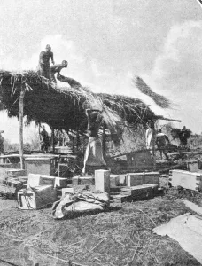Natives Building a Rest-House, from an article entitled ' Natives Building a Rest-House, from an article entitled '