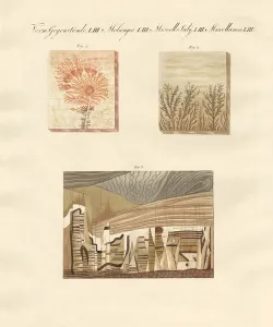 Dendrites Gallery: Natural games (coloured engraving)