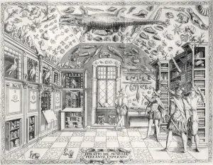 The Natural History Museum of Emperor Ferdinand III from Historia Naturale' The Natural History Museum of Emperor Ferdinand III from Historia Naturale'