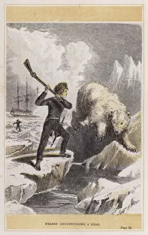 Admiral Nelson Gallery: Nelson encountering a bear (coloured engraving)